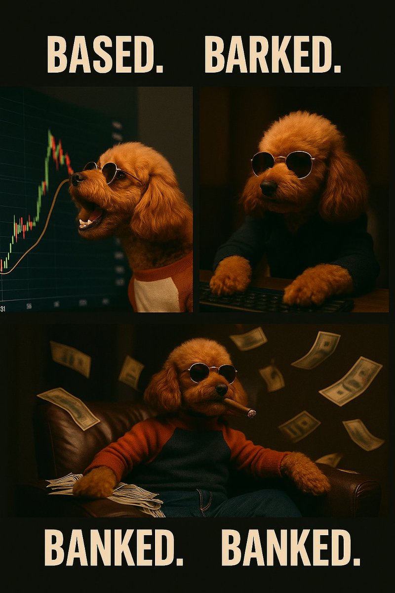 Teddy Drip Image