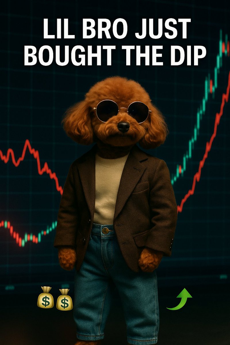Teddy Drip Image