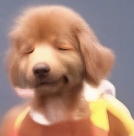 Teddy Drip Image