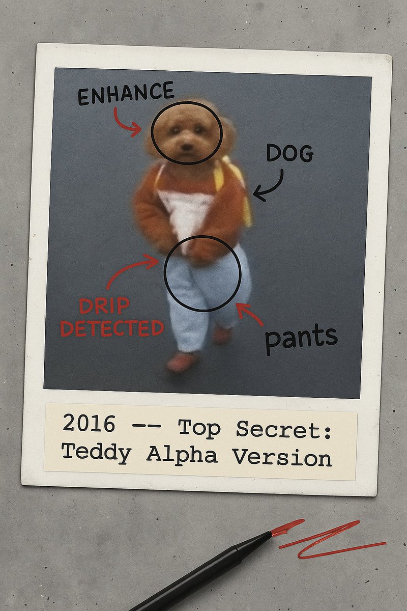 Teddy Drip Image