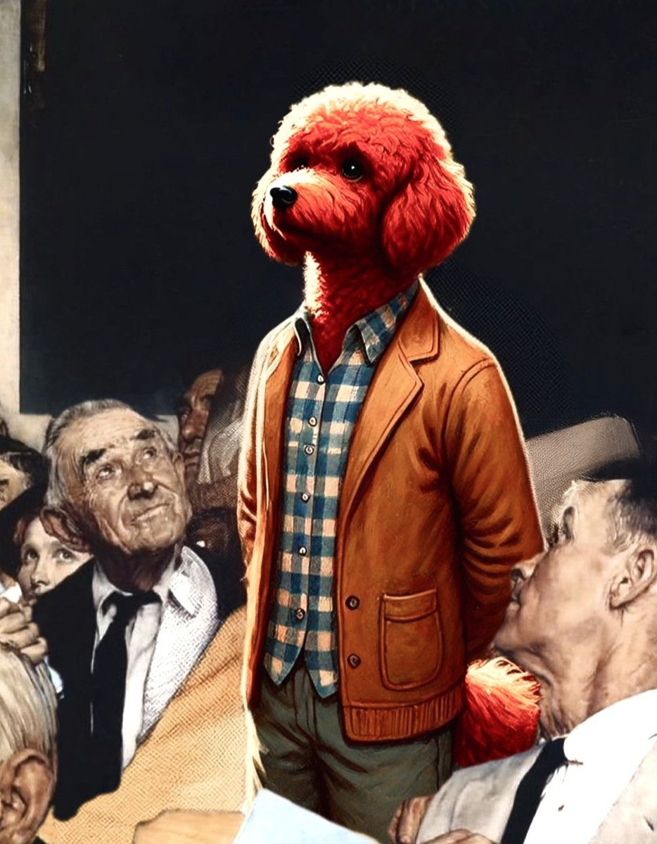 Teddy Drip Image