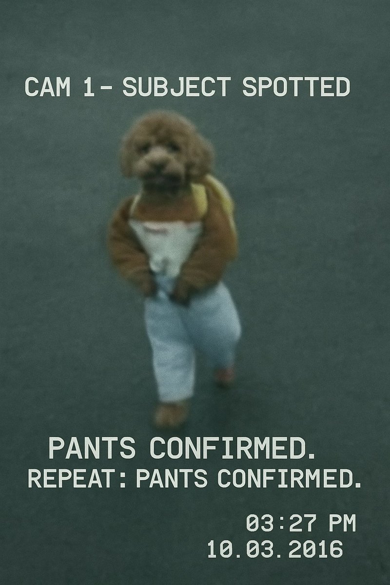 Teddy Drip Image